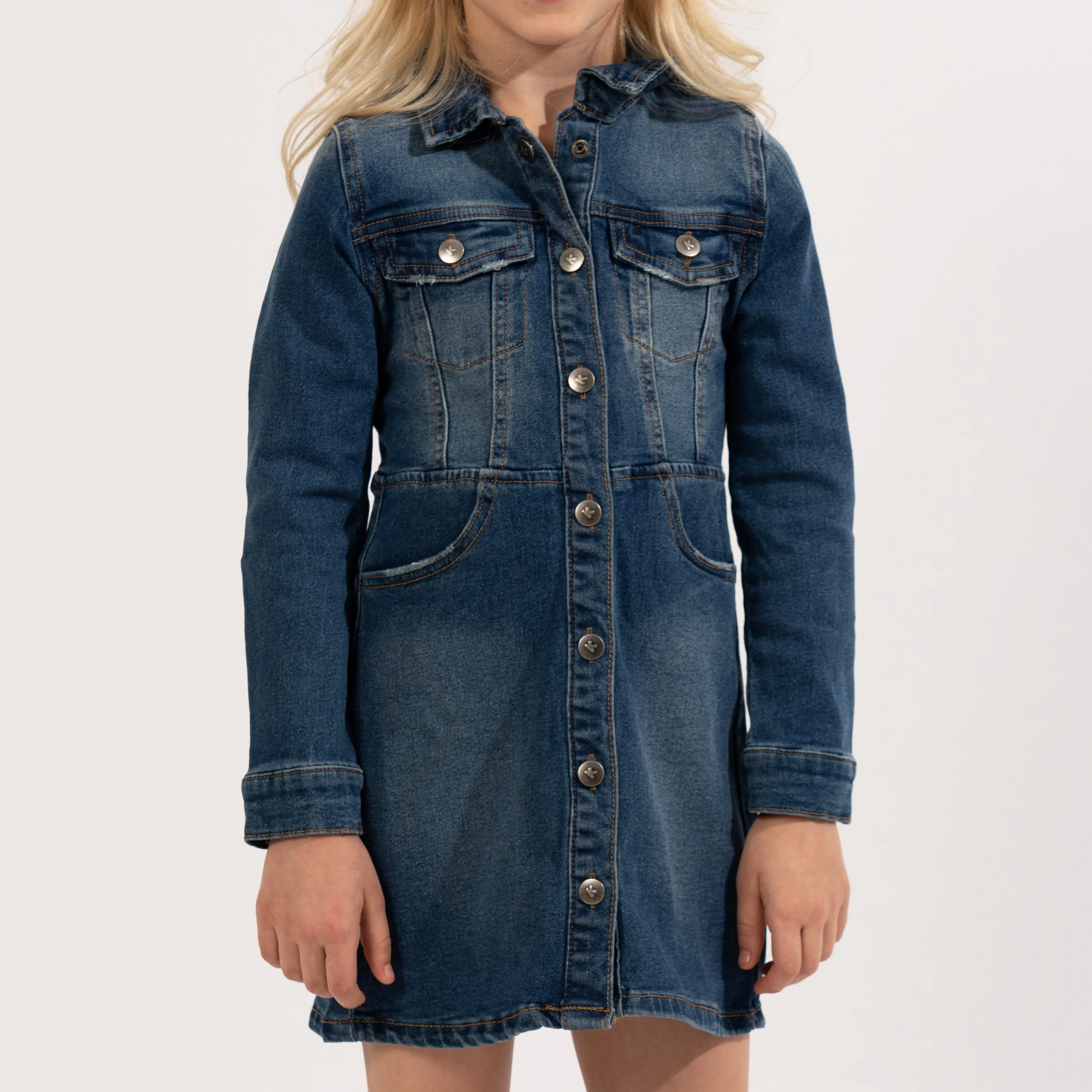 Denim Button Front Dress